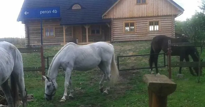 Bauernhof Agroturystyka Zloty Klos *